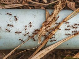 74AA1672-CED3-42F8-B579-F37AADE36F1F