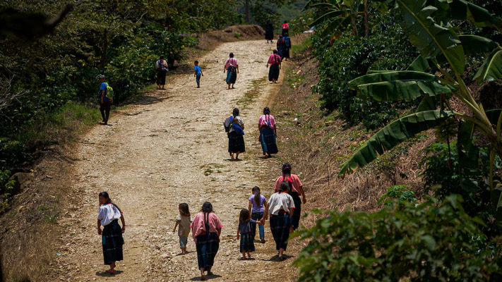 Nuevo desplazamiento de chiapanecos a Guatemala