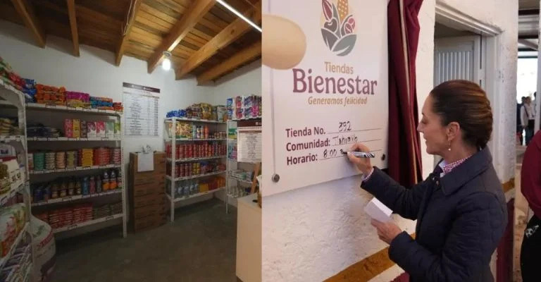 Tanto ridículo / La Feria