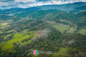 91FD3C29-3E8F-4871-B332-30B44EDA8BEB