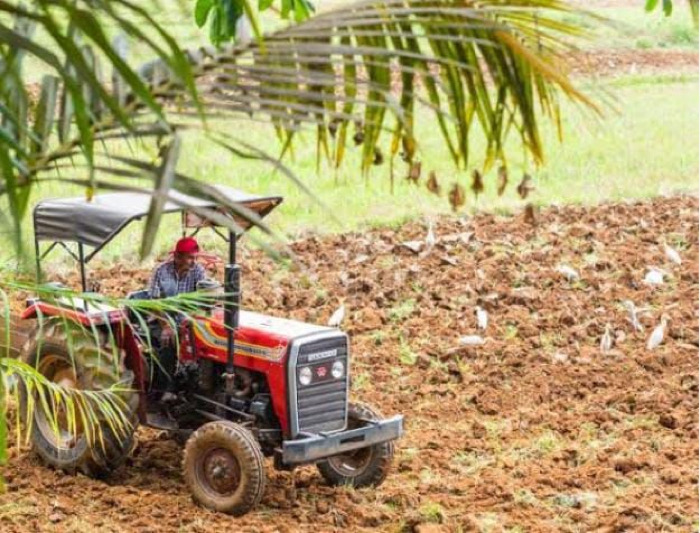 ¿Porqué cae el campo de México?