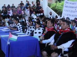 C205A98A-F74B-4C74-9261-CC77D19298D5