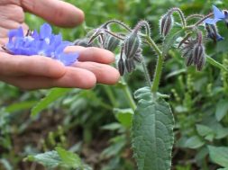 DC4391A6-8683-4420-8447-8934173CB242