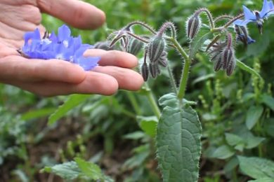 DC4391A6-8683-4420-8447-8934173CB242