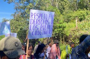 E4961401-FAB4-44CC-BE84-B779910D115B