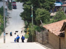 F28C8030-F01F-461C-B911-E5FF84738C9C