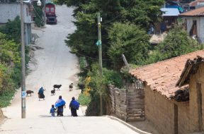 F28C8030-F01F-461C-B911-E5FF84738C9C