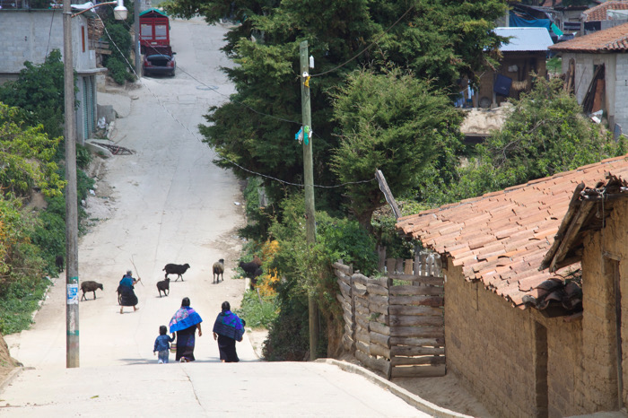 Población indígena y afrodescendiente reporta los ingresos más bajos