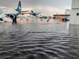 FBF6A82C-7E63-43E5-93D7-C752752D87BC