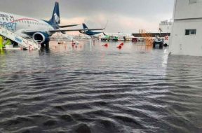 FBF6A82C-7E63-43E5-93D7-C752752D87BC