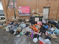 0043E31B-321D-466B-9528-EAE95FFA16DE