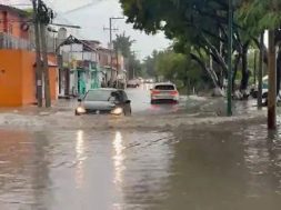 066E0D7F-9FBB-4C22-92F0-5E9AB9AF4F10