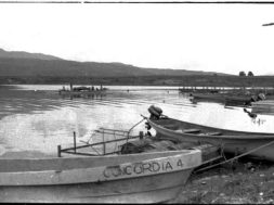 124FC12E-5225-4B22-867E-34BF67CE57E9