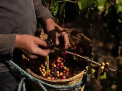 1B185583-F5B1-4AA2-99E6-F53378C49993