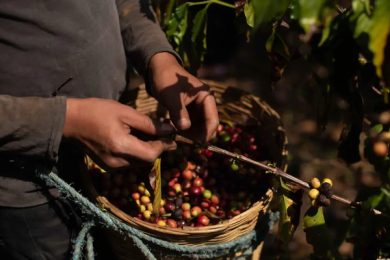 1B185583-F5B1-4AA2-99E6-F53378C49993