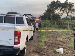 391E0E4C-5480-4C97-830A-C860239A1038