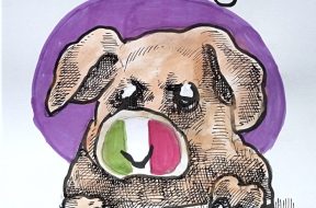 41B61BFB-2818-47C4-84B8-E21A42CE7D4C