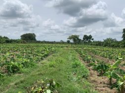 4B4BB73F-D89B-42E2-A24E-5AEA83E7E923