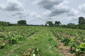 4B4BB73F-D89B-42E2-A24E-5AEA83E7E923