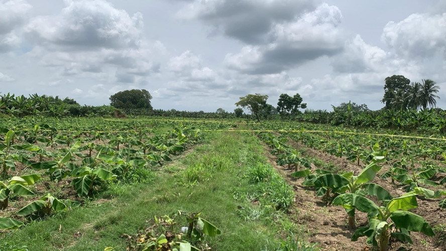Wendy, desaparecida en Suchiate, fue hallada sin vida; suman 34 feminicidios