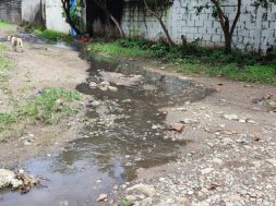 A05A702F-1526-43F1-A59F-57D2C4E57ED1