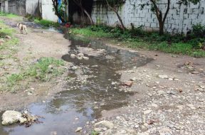 A05A702F-1526-43F1-A59F-57D2C4E57ED1