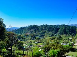 ACB78786-ACB2-43EF-819D-48030E96893A