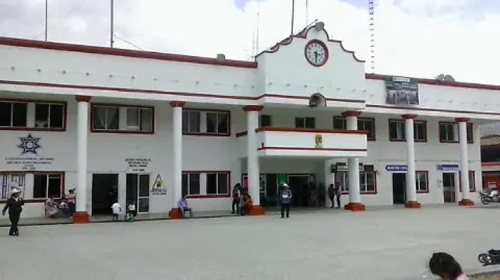 Denuncian impunidad en caso de maltrato animal en Bochil