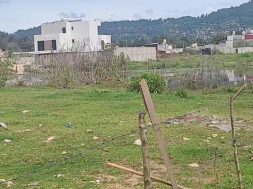 BF46C554-8A74-4A43-814B-49A9E7BD9687