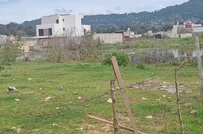 BF46C554-8A74-4A43-814B-49A9E7BD9687