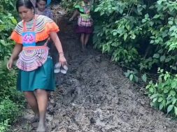 CD98AF2B-2DAF-42D6-91C5-B756E76BA9A2