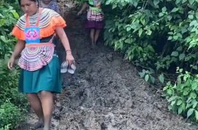 CD98AF2B-2DAF-42D6-91C5-B756E76BA9A2