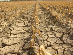 E956ECEE-1DF7-423E-BAC7-C3D8F0977E86