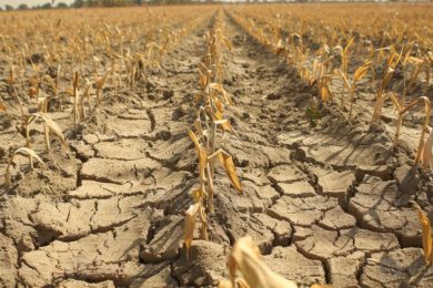 E956ECEE-1DF7-423E-BAC7-C3D8F0977E86