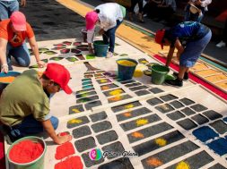 F2EA9EA6-2D03-4135-AE02-ABB3CC473F3A