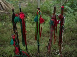 F98E066C-5CC1-4678-AD90-551192E75AA3