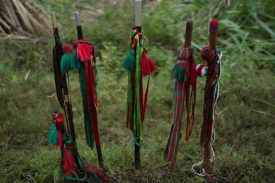 F98E066C-5CC1-4678-AD90-551192E75AA3