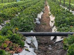 FD232C75-62BE-4BA7-BD52-F8407CC9218E