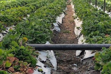 FD232C75-62BE-4BA7-BD52-F8407CC9218E