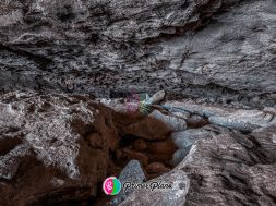 FE88BEA4-60FB-4C6F-BB14-C1F832042AC2