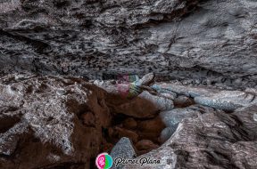 FE88BEA4-60FB-4C6F-BB14-C1F832042AC2