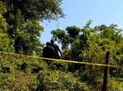 FFD67E42-77C0-42DA-AA7D-BCACA183A104