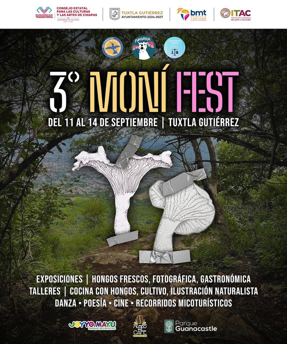 Celebrarán el 3er Moní Fest en Tuxtla Gutiérrez: una fiesta cultural y gastronómica en honor al hongo Zoque