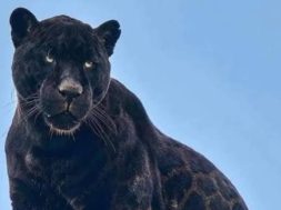 088FED10-462D-4390-AEB9-9AAA23995AFB