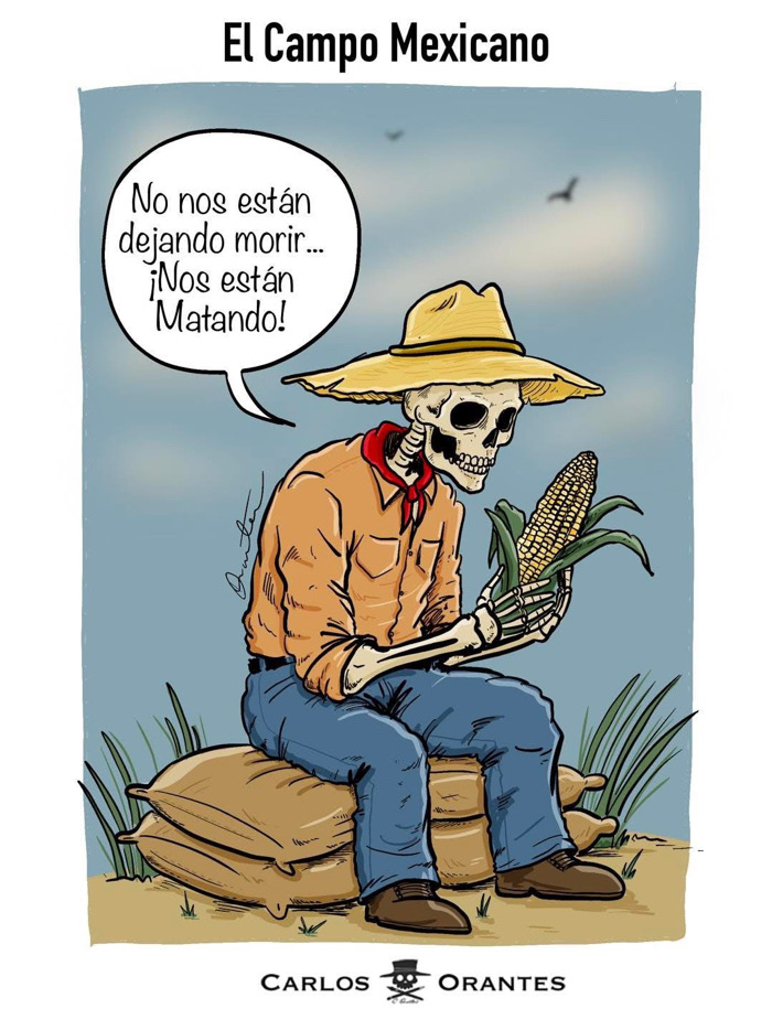 Colaboración de Carlos Orantes