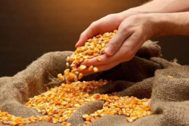 2D332375-7F3B-4904-8A11-650C4BE3E003