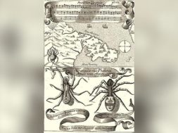 30D6D7F7-1D3D-4E89-9B4C-0F5C86CBFA84