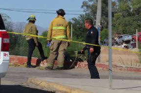 4263960A-3633-441C-8BAE-C59811A7DAED