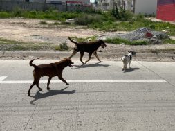 4A45B9A2-814B-4B3E-BCA7-FC9653AAE213