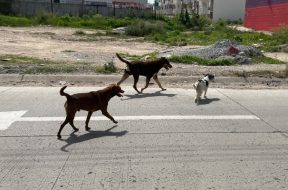 4A45B9A2-814B-4B3E-BCA7-FC9653AAE213